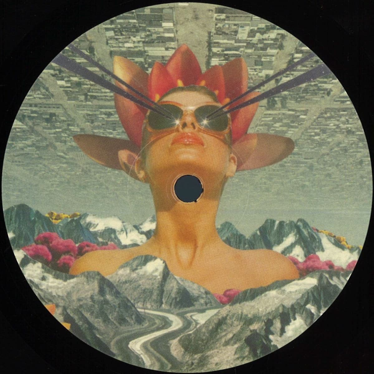 MSR 002
