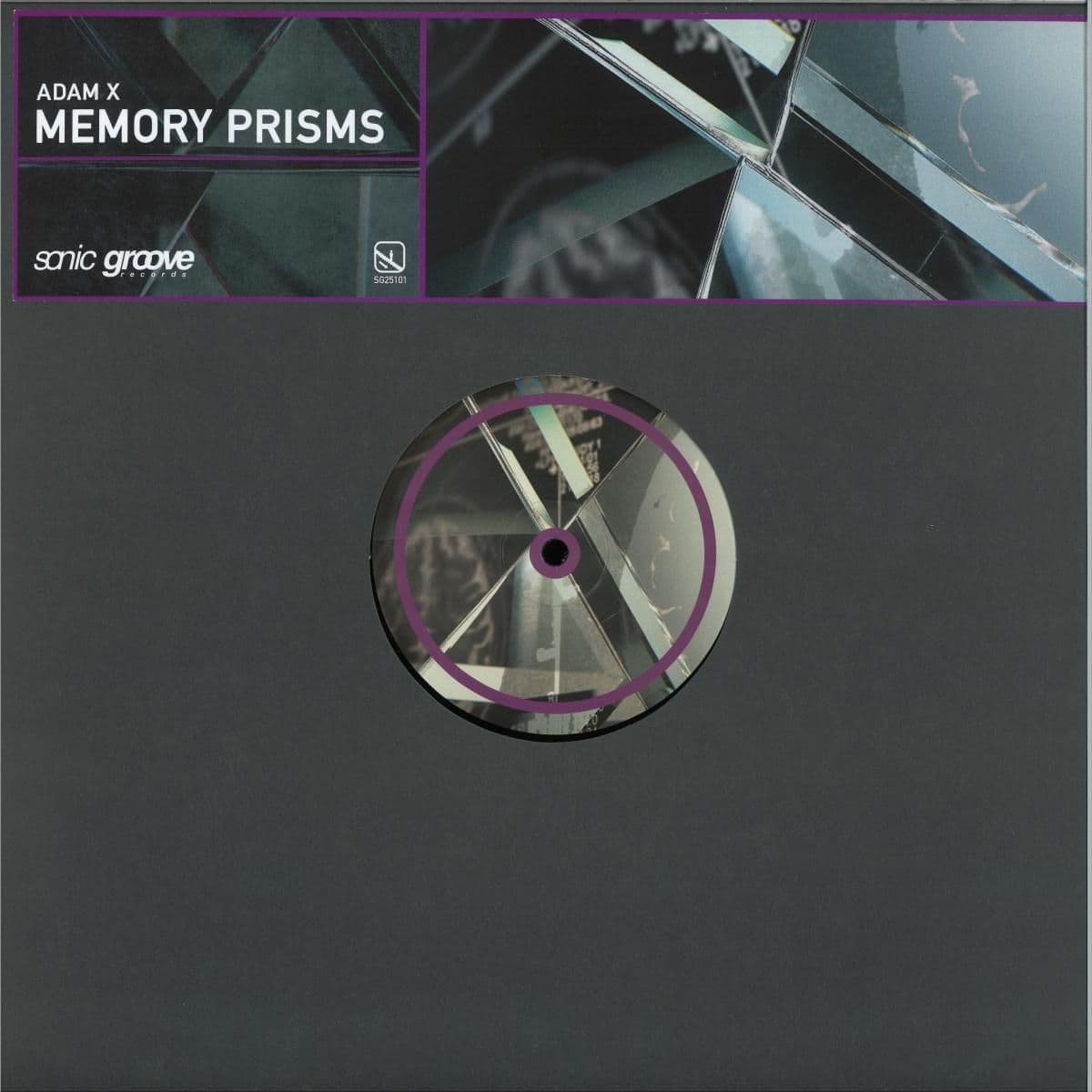 Memory Prisms