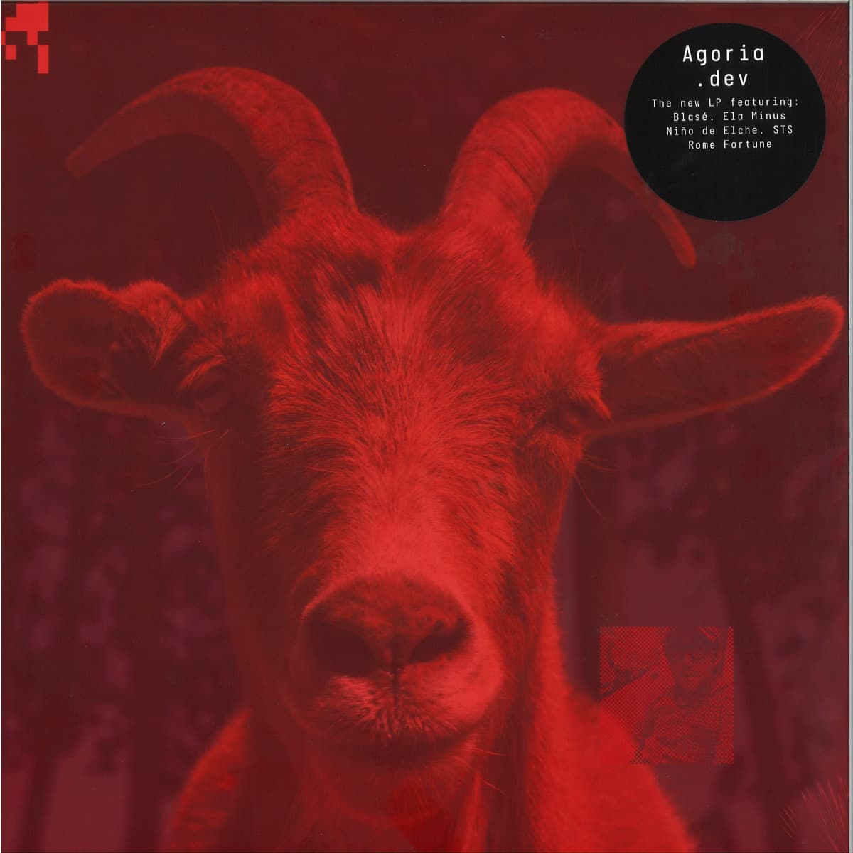 .dev LP 2x12"