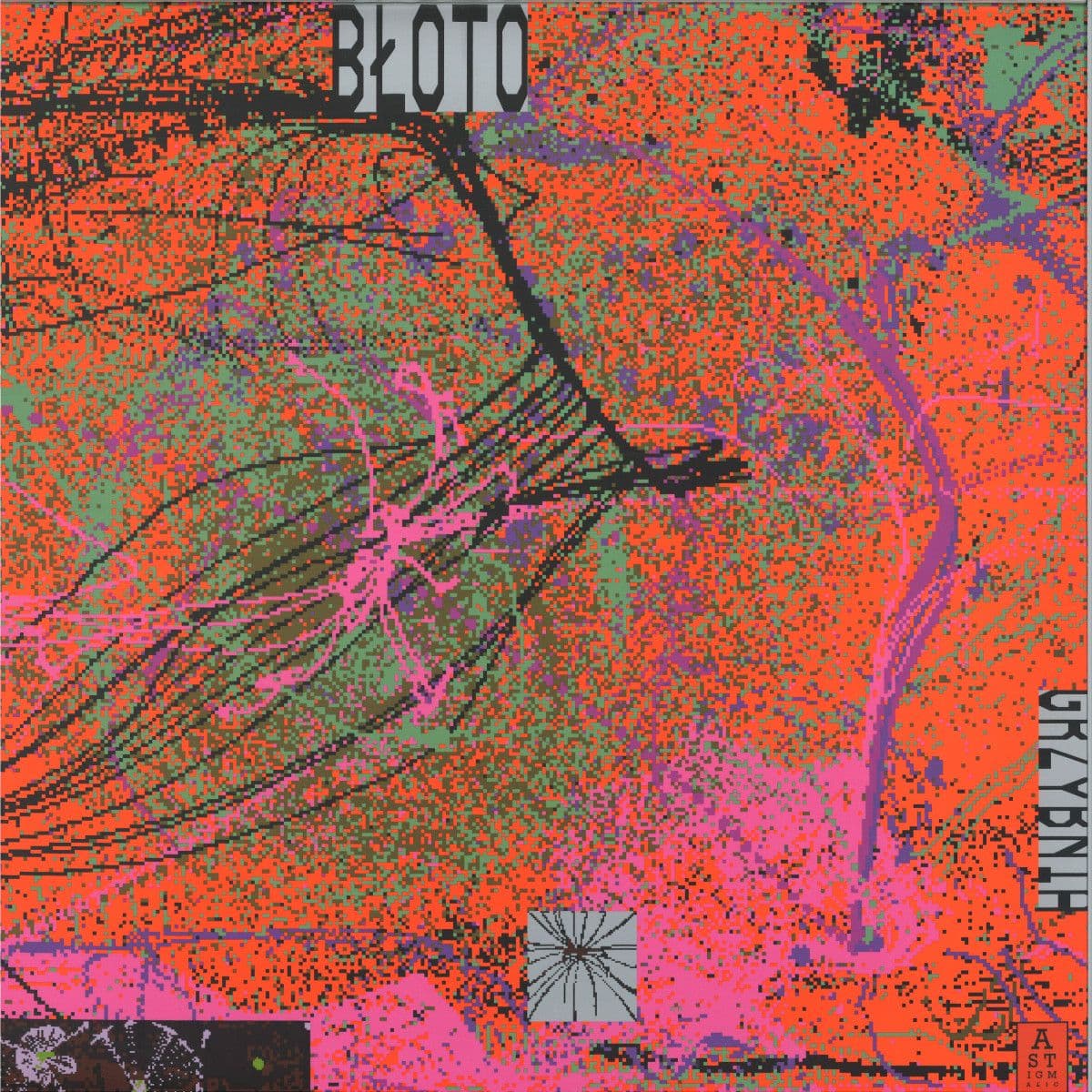 Grzybnia LP