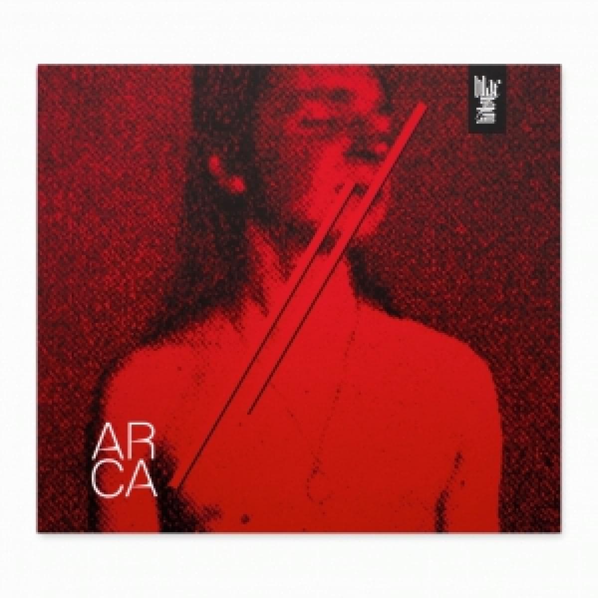 Arca LP 2x12"