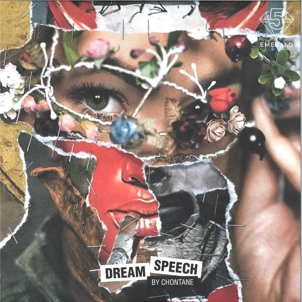 Dream Speech