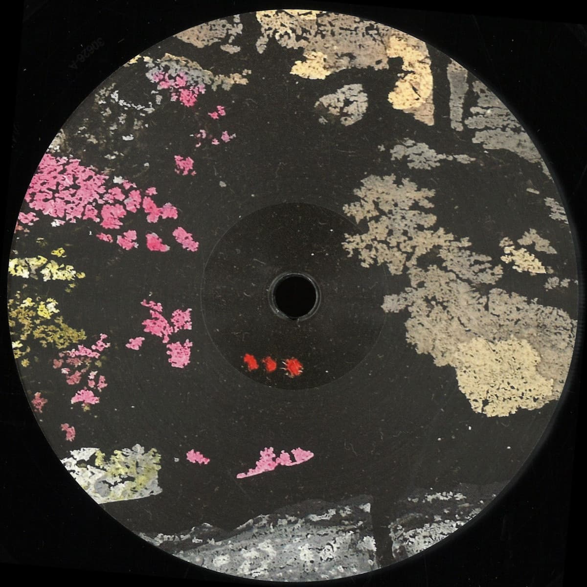 Laelaps EP