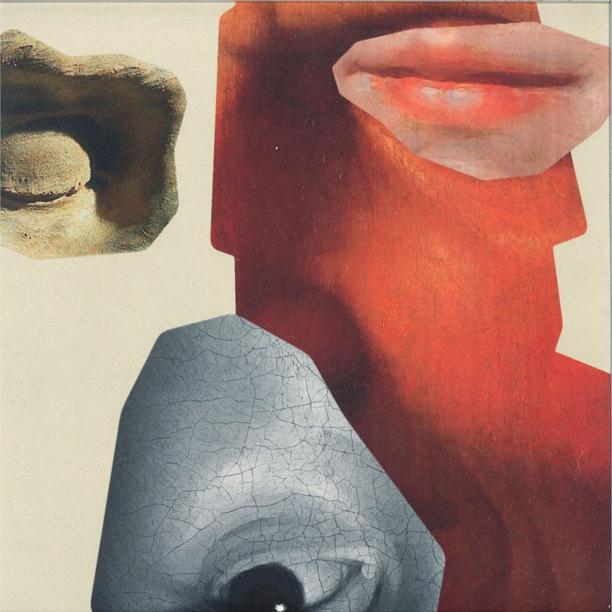 Senses