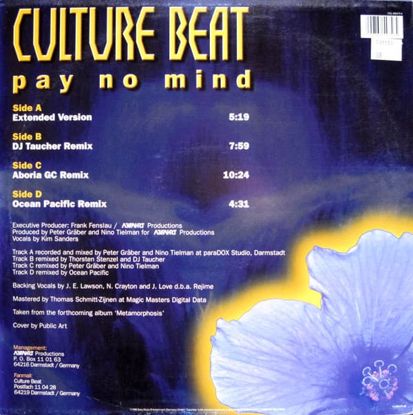 Pay No Mind thumbnail 2