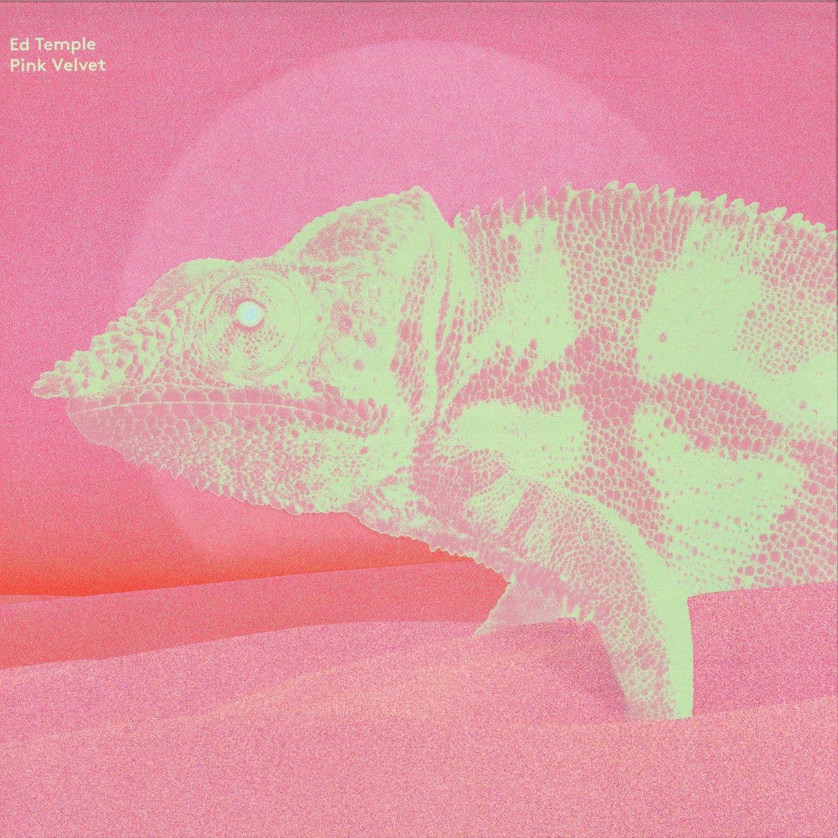 Pink Velvet