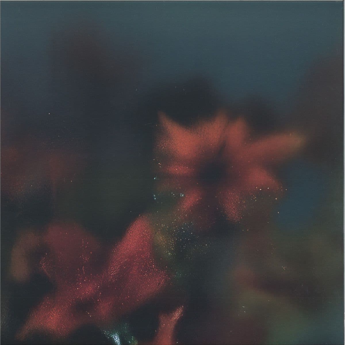 Soft Wish