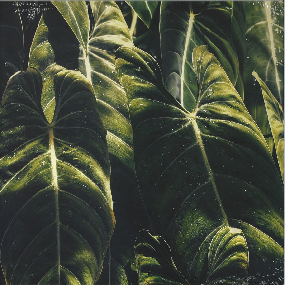 Yagán EP