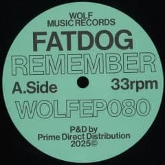Remember thumbnail 2