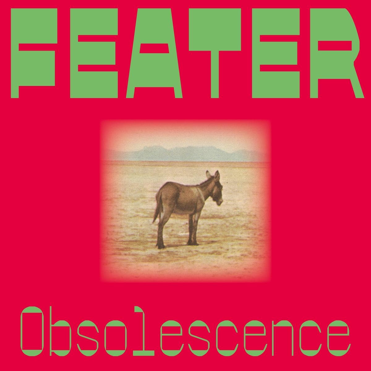 Obsolescence (LP)