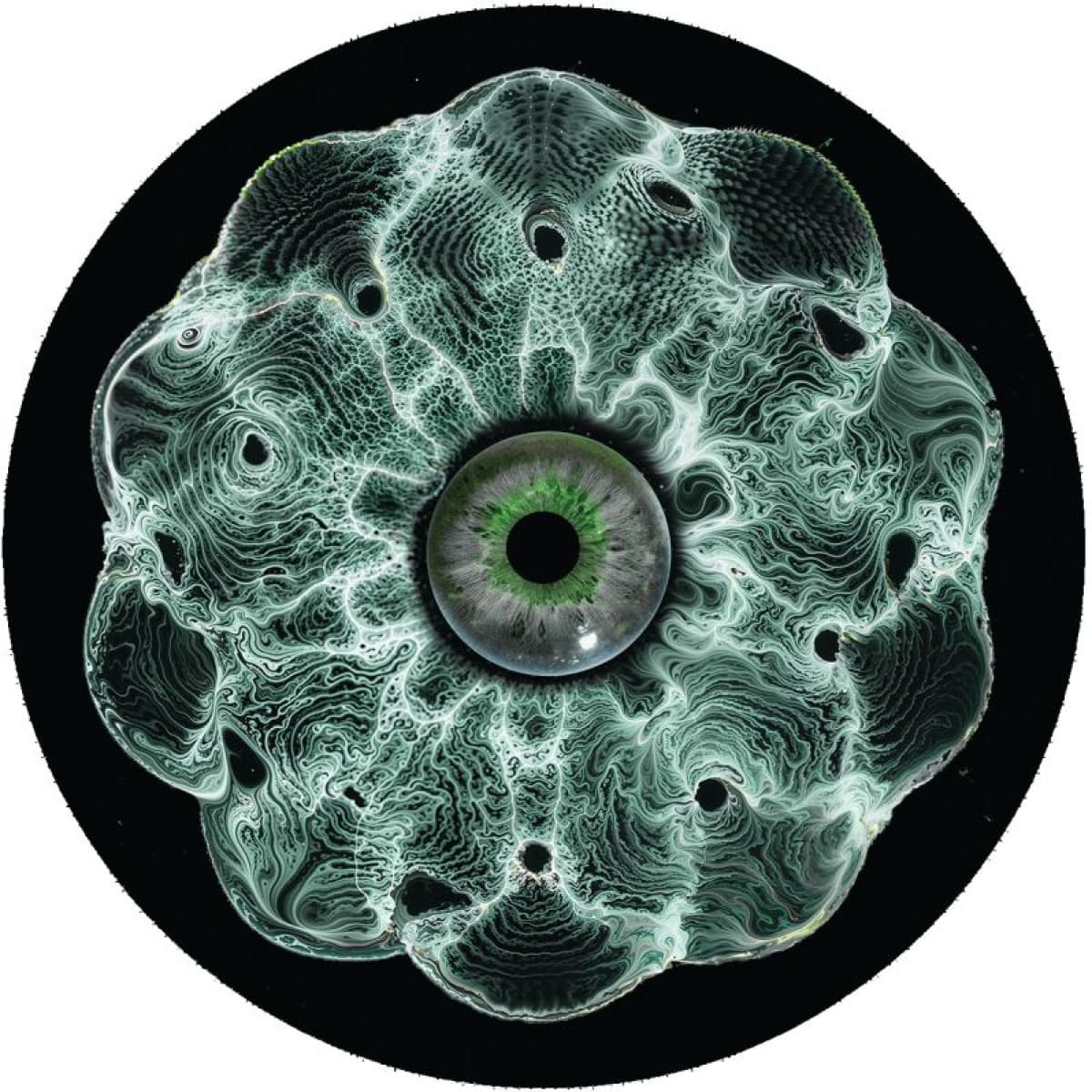 Luminus EP
