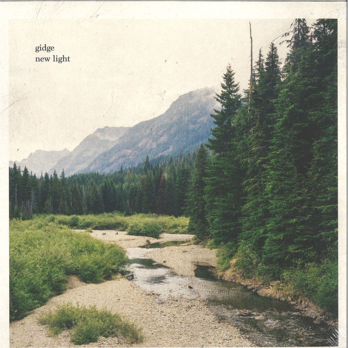 New Light 2x12"