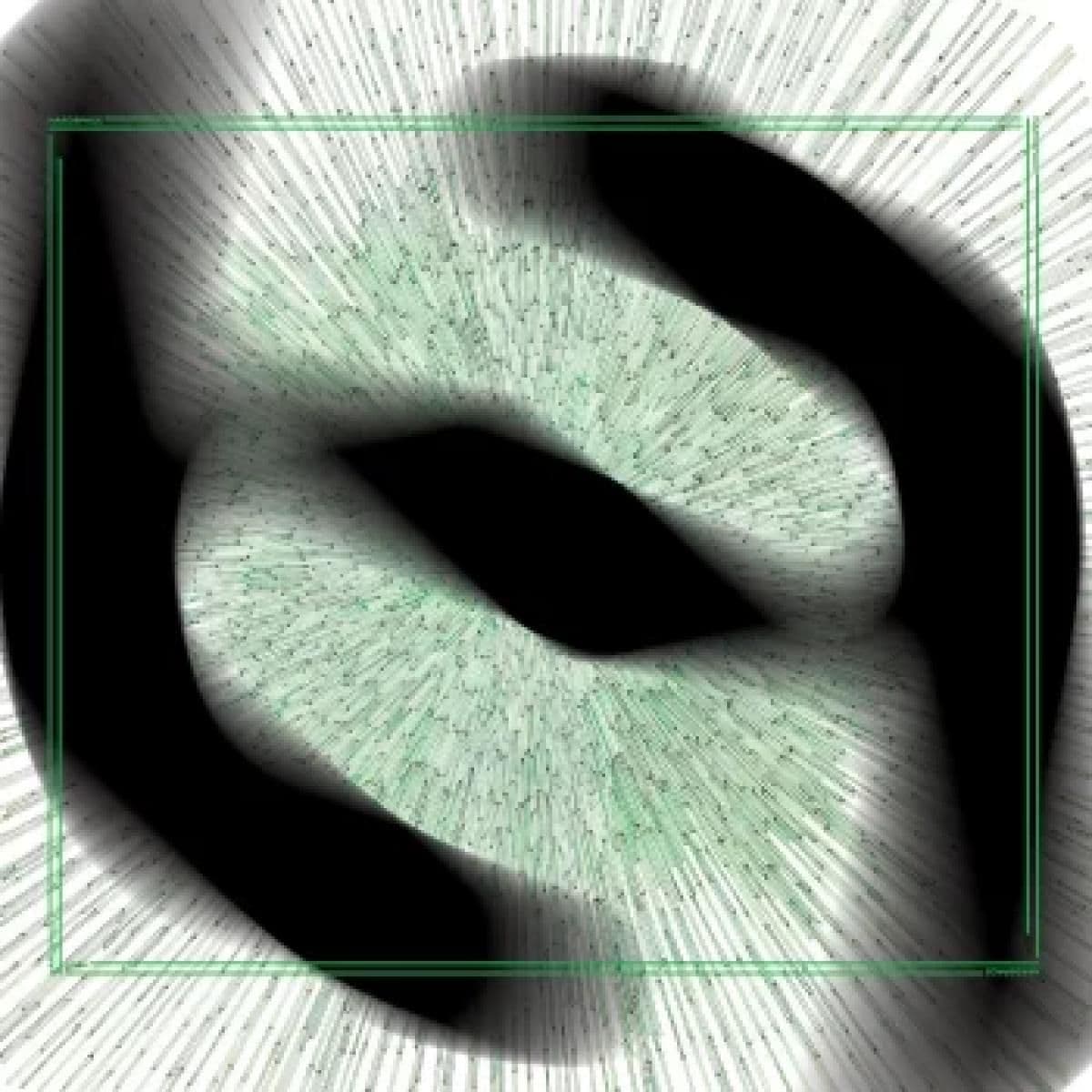 H009