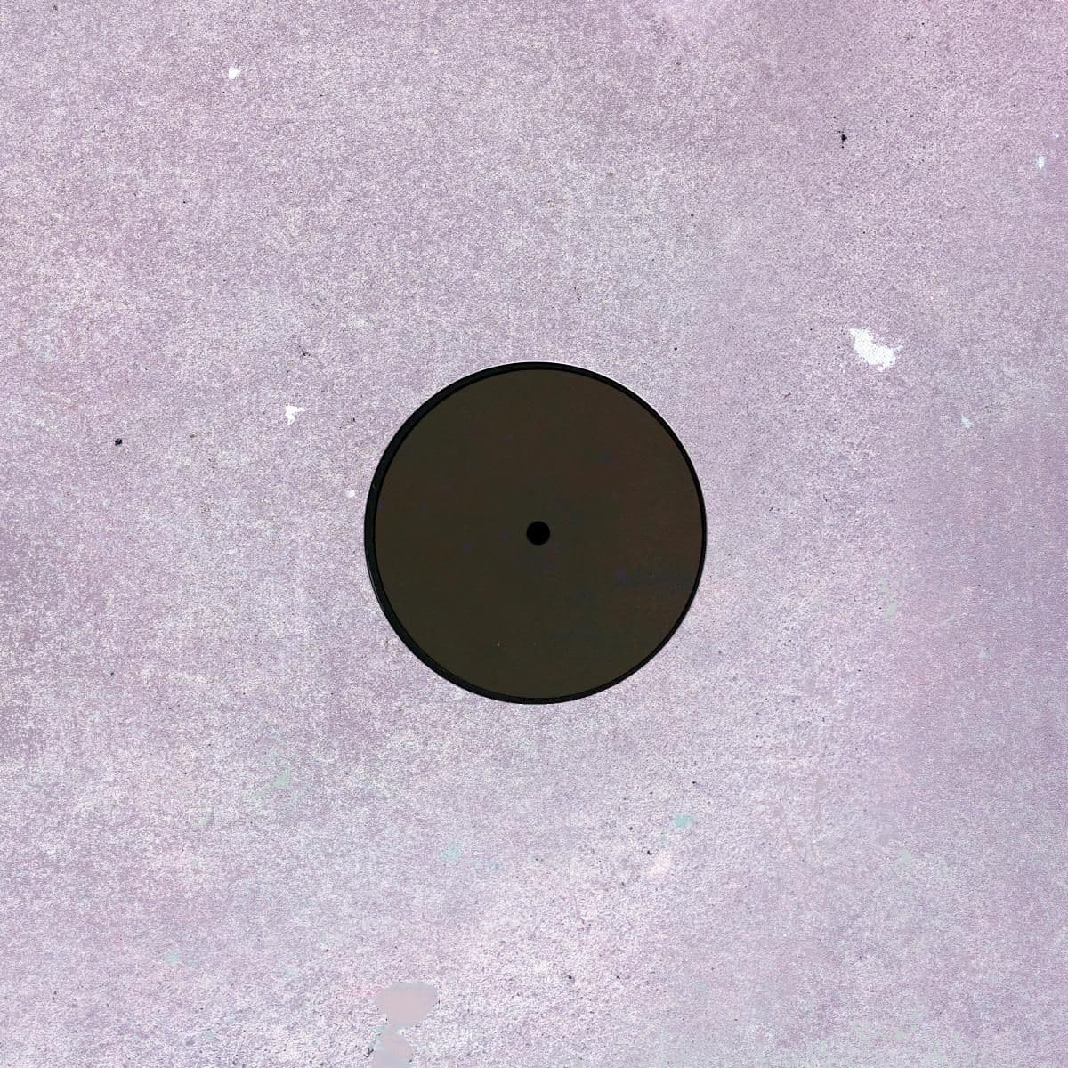 Dustlick LP