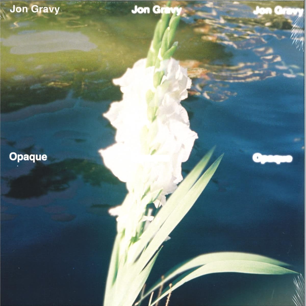 OPAQUE LP