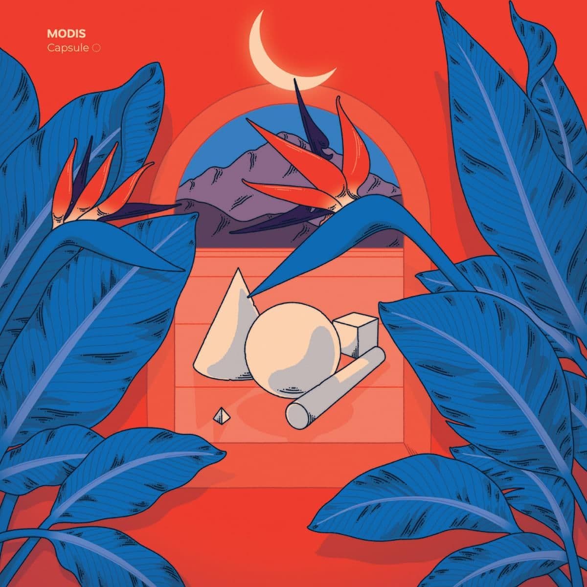 Capsule