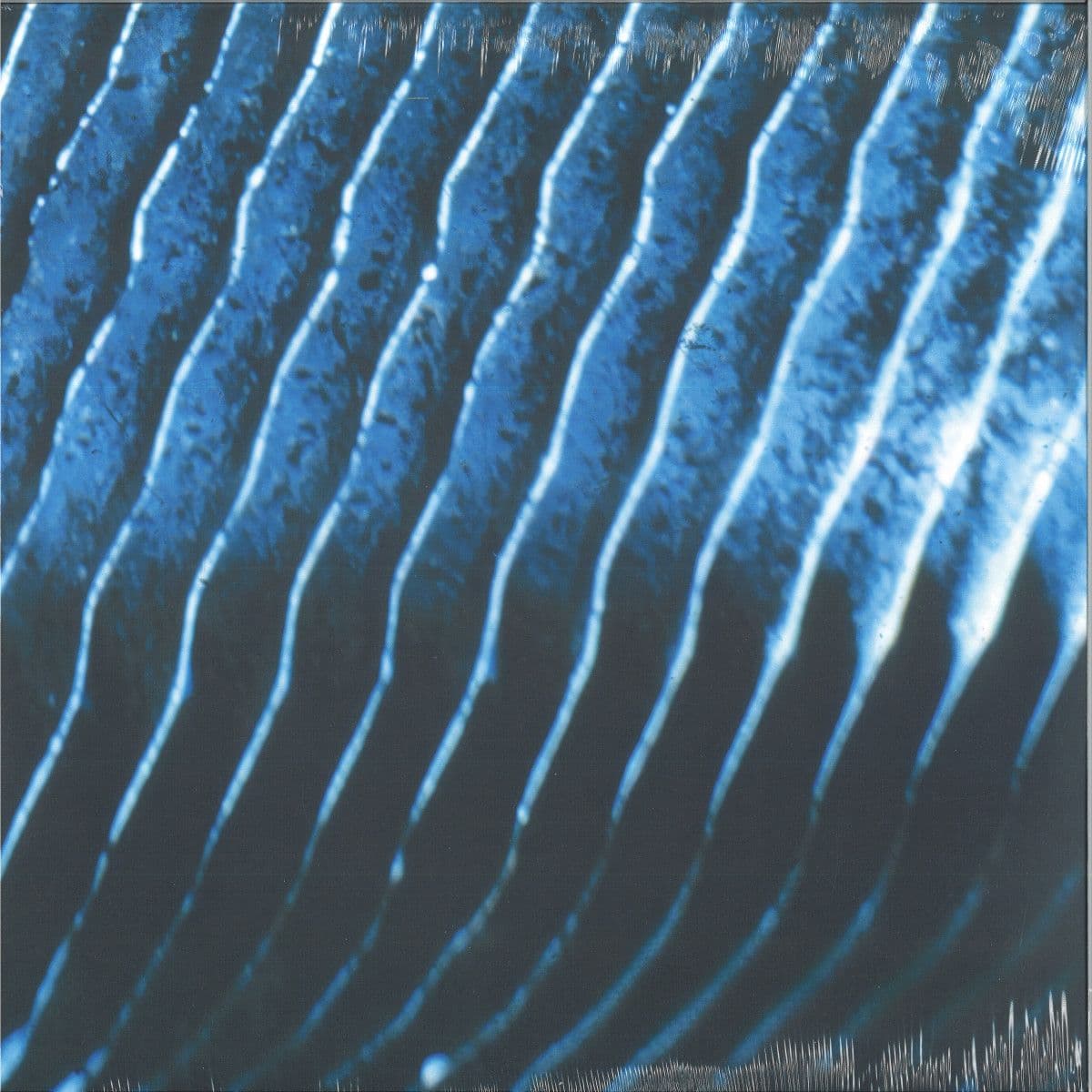 Gravity Lp 2x12"