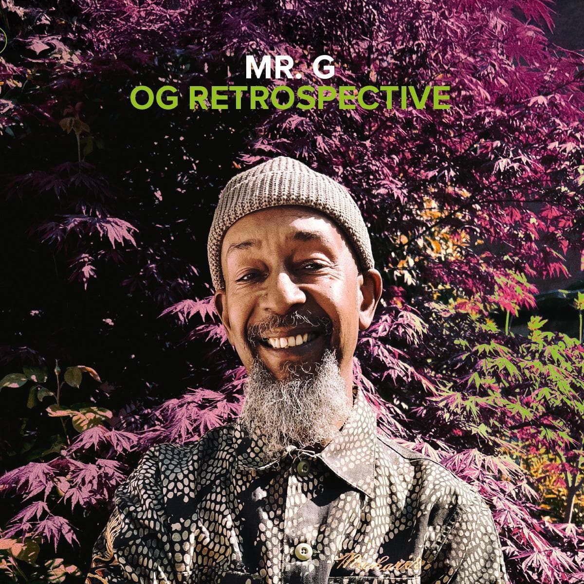 OG Retrospective  6x12"