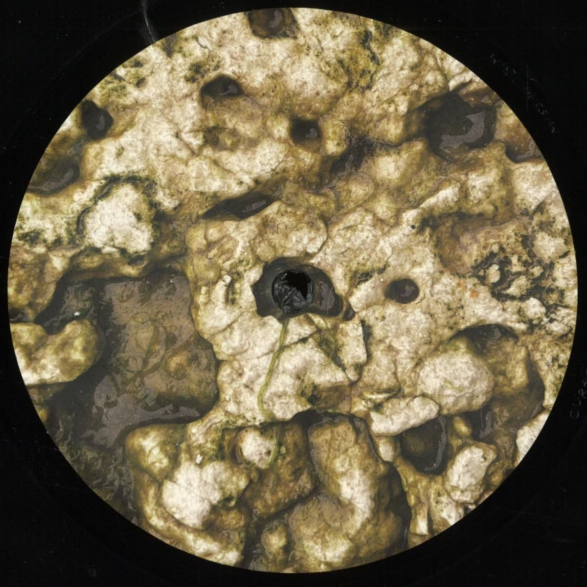 Microseism