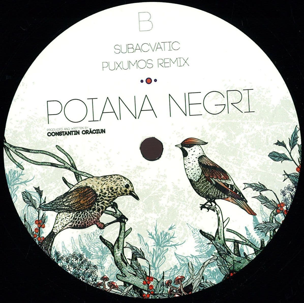 Subacvatic Ep
