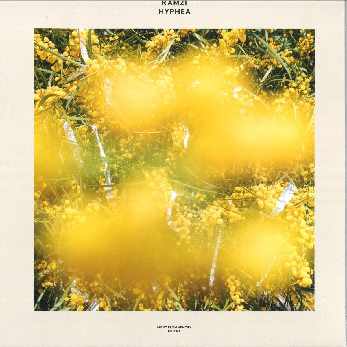 HYPHEA LP