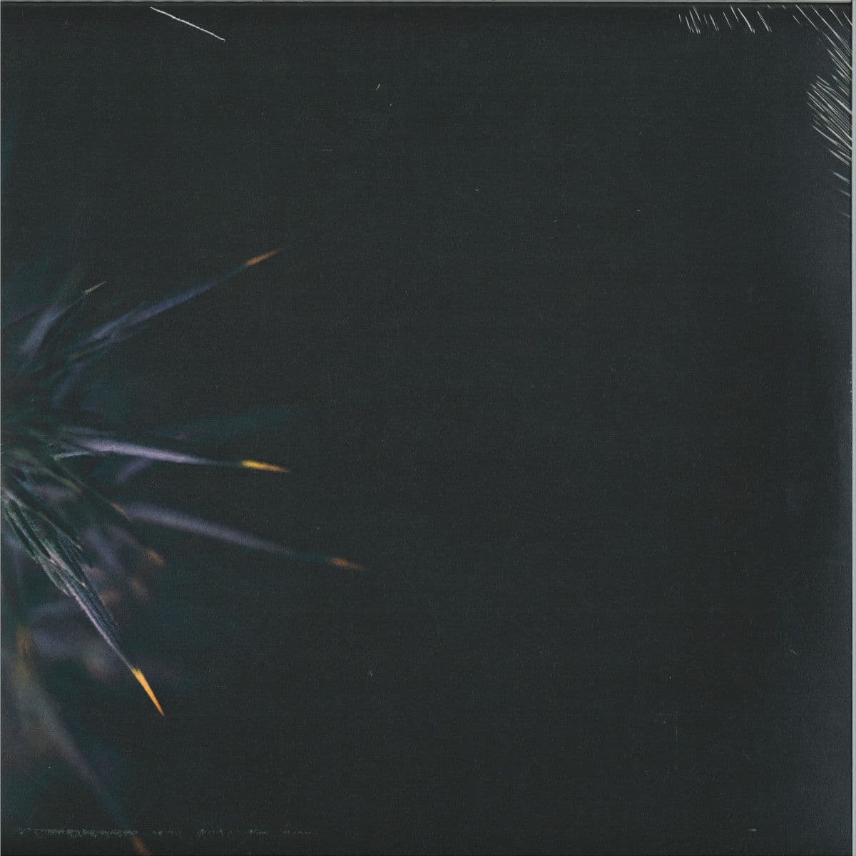 IN VEIL EP