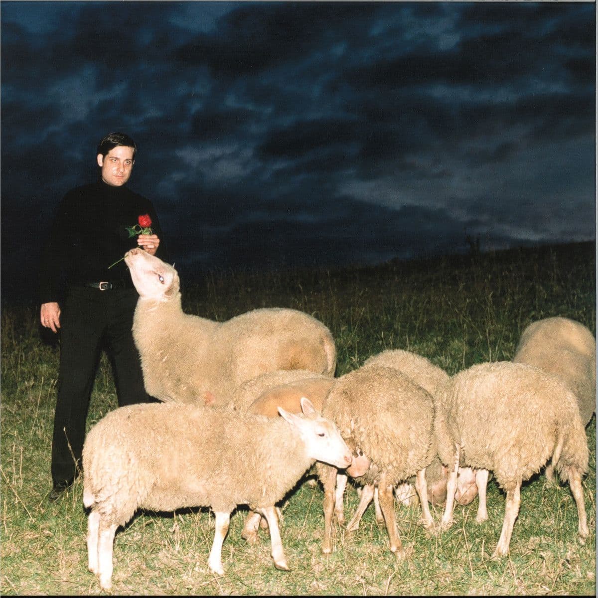 SALT LICK LP