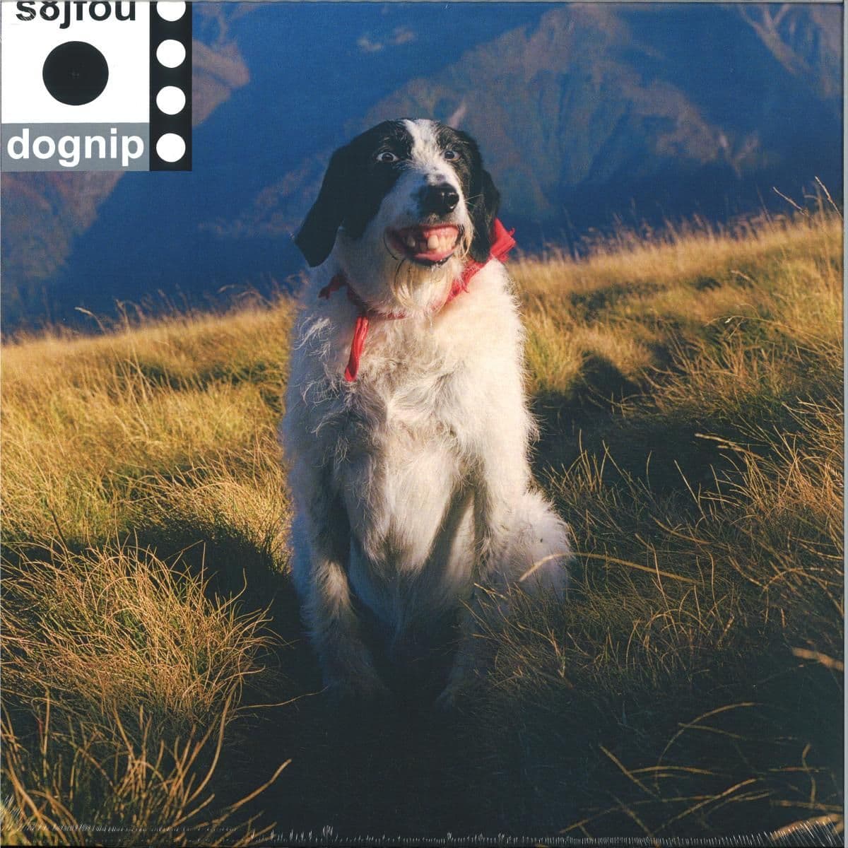 Dognip LP
