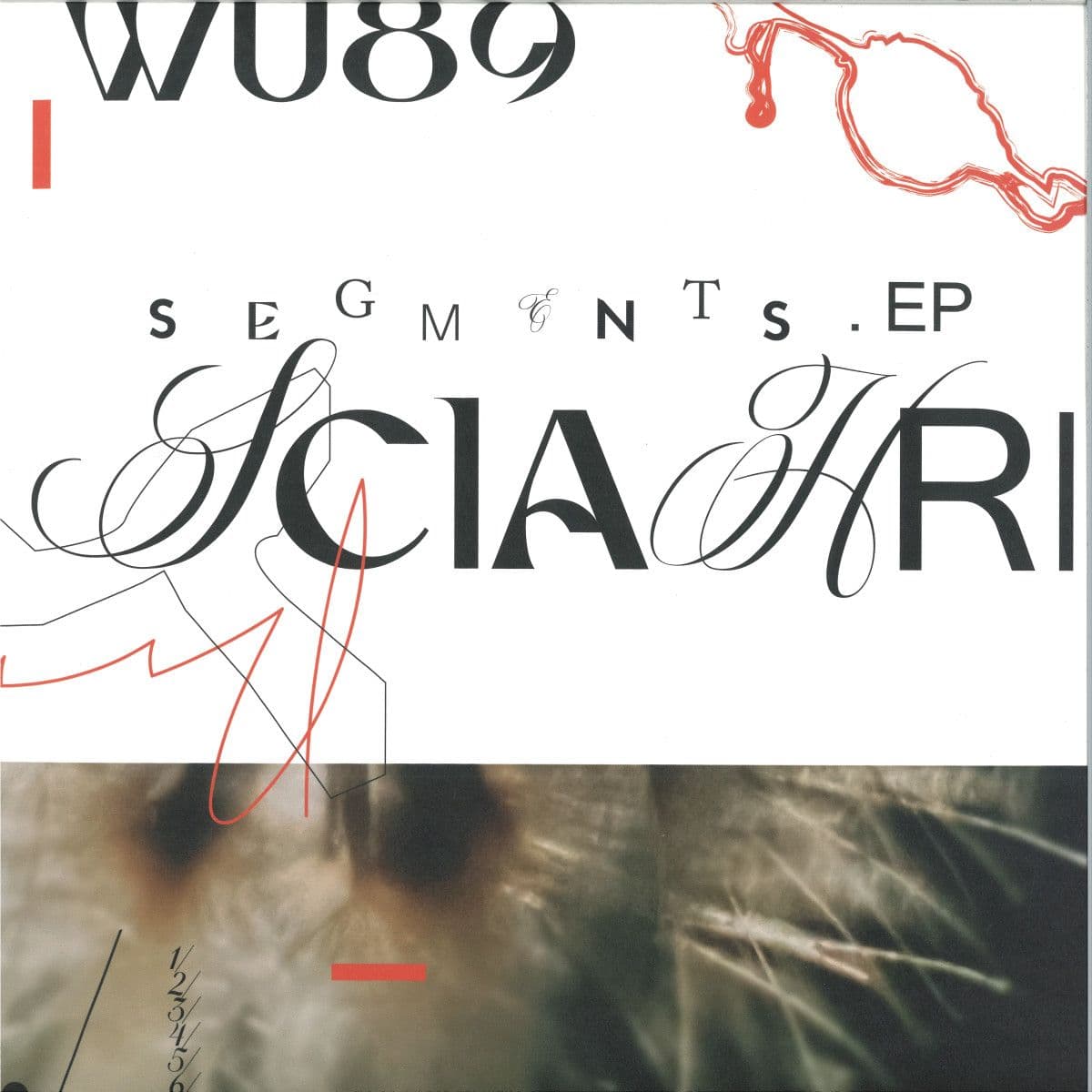 Segments EP