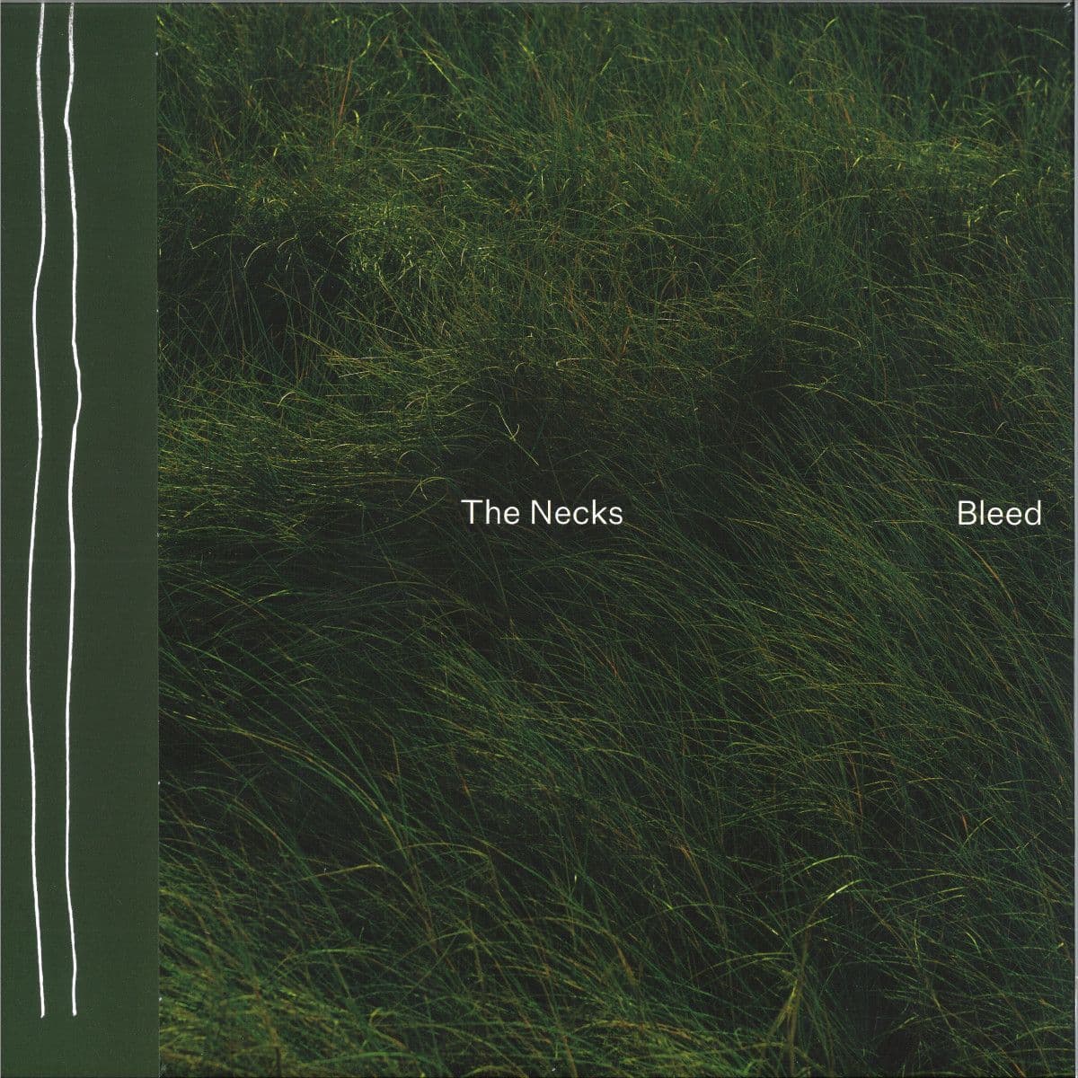 Bleed