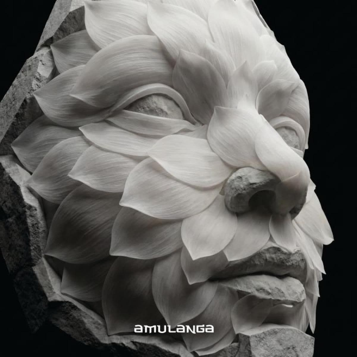 AML007