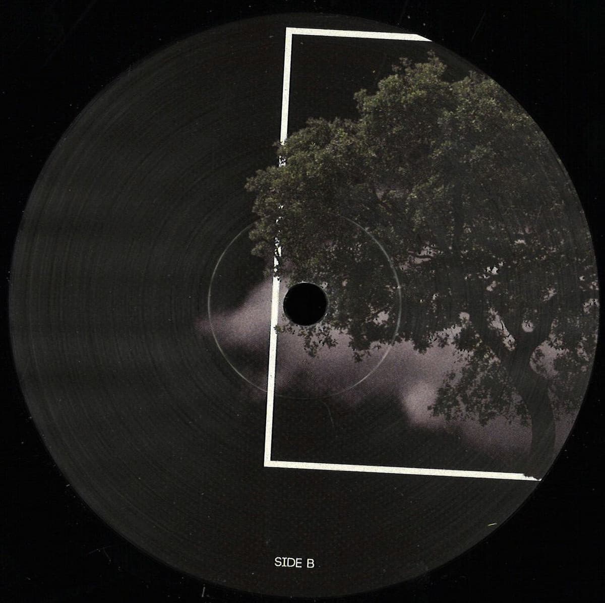 NBRV001