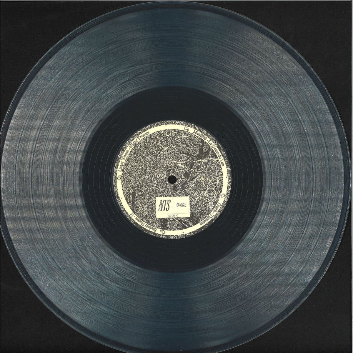 Ascend 2x12"
