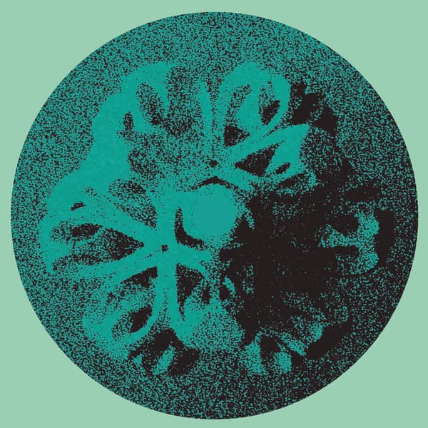 Background VA EP
