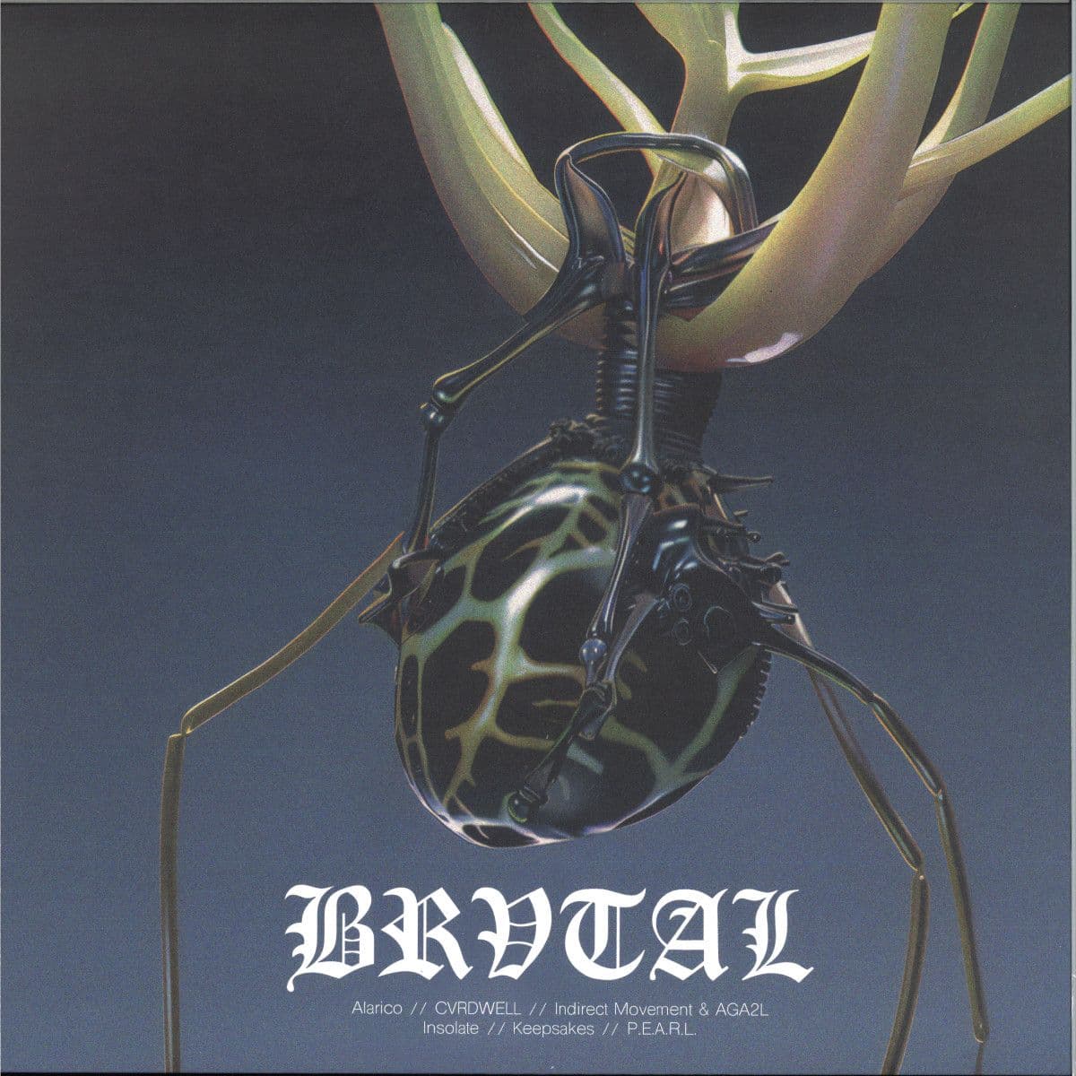 BRV007