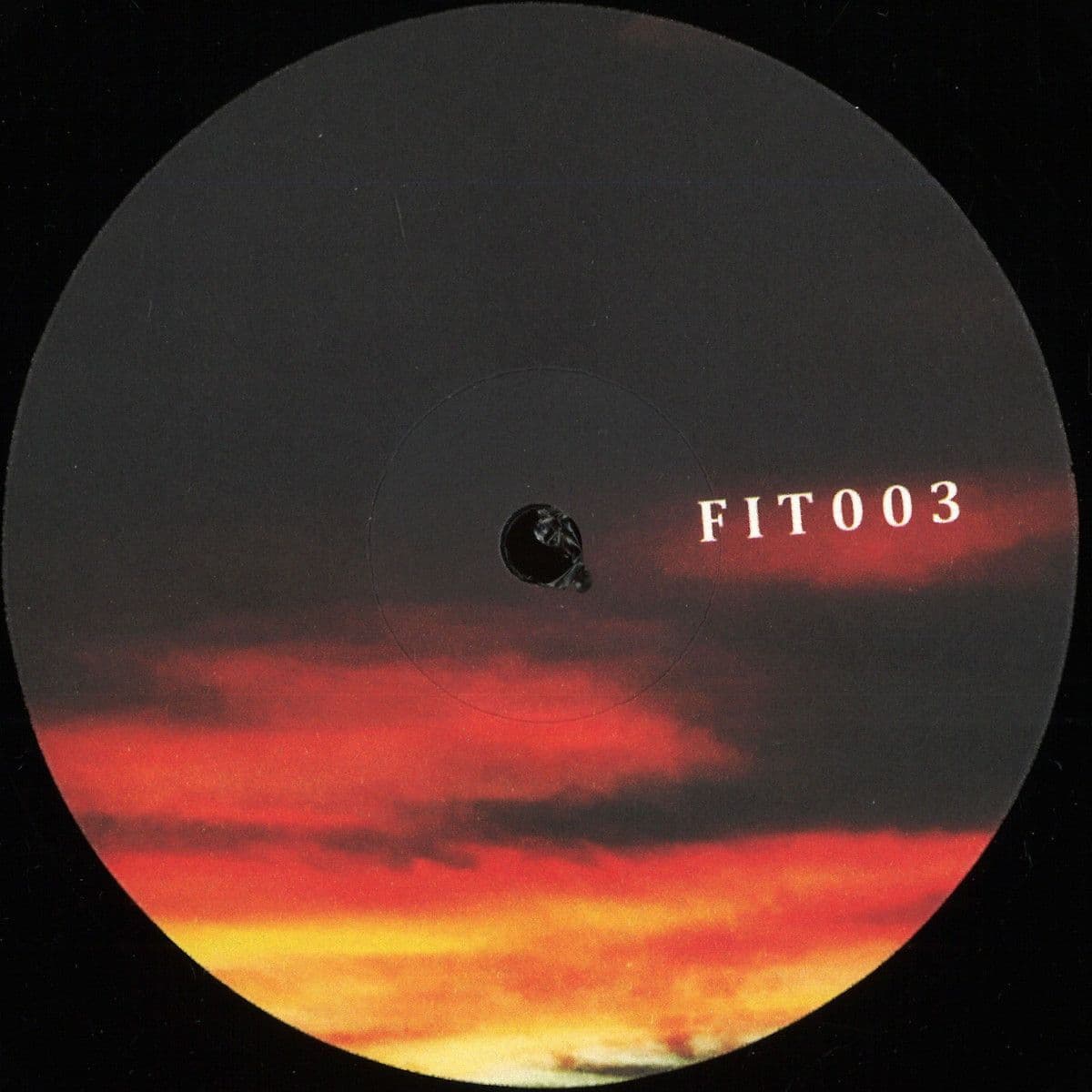FIT003