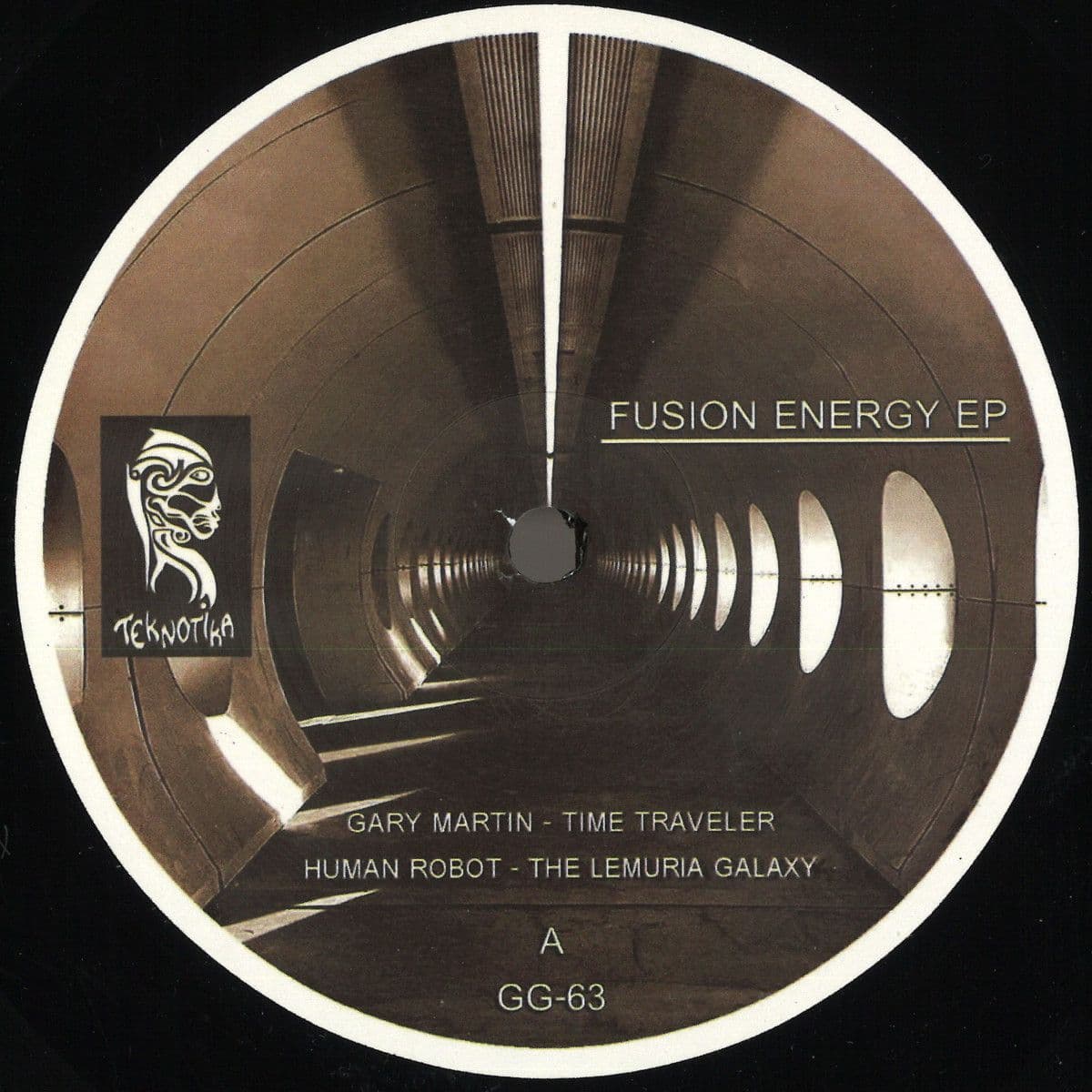 Fusion Energy