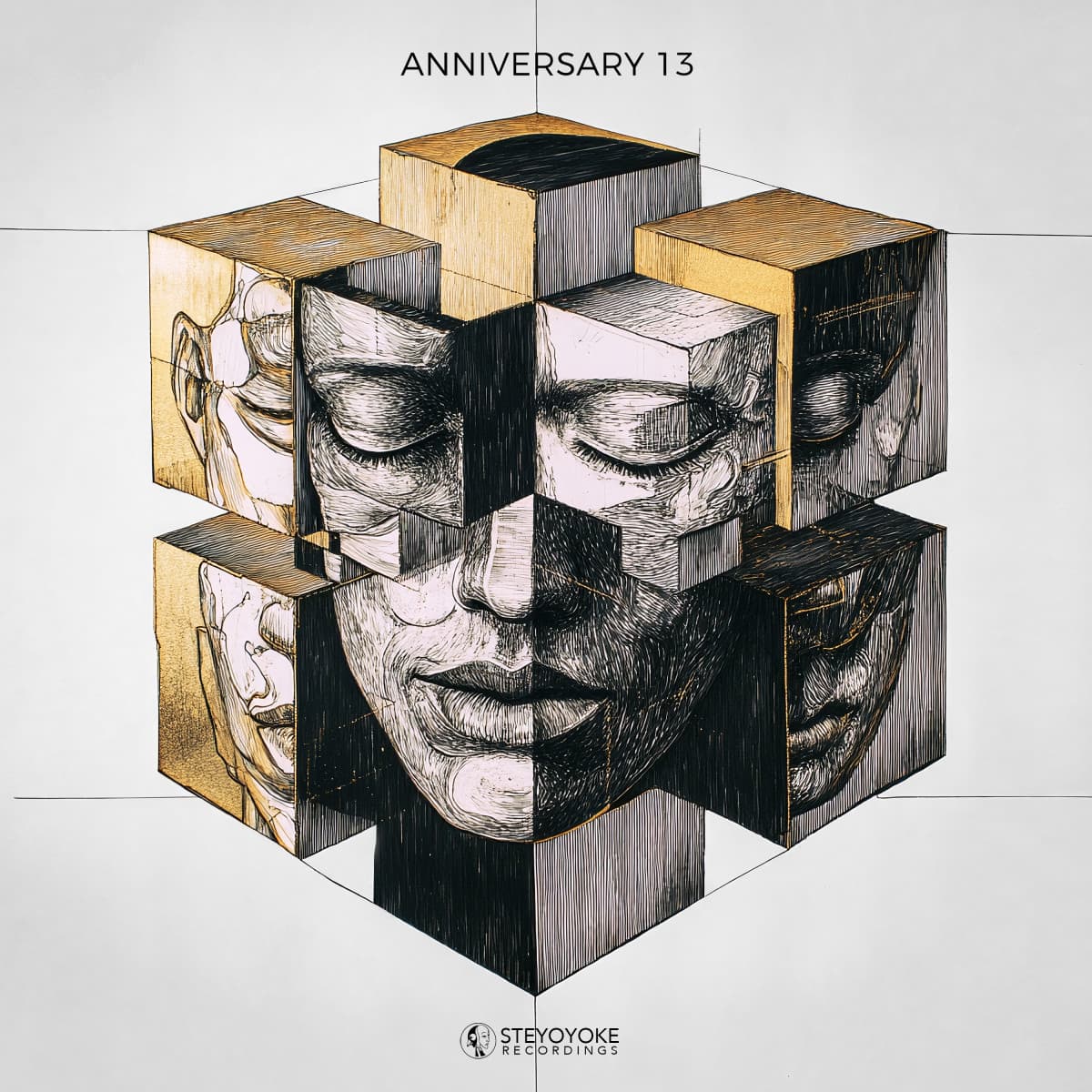SYYK270 2x12"