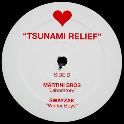 Tsunami Relief thumbnail 4