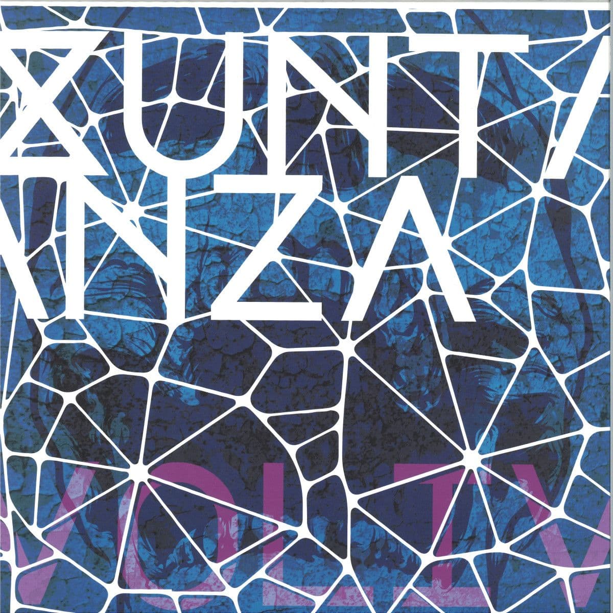 Xuntanza Vol. IV