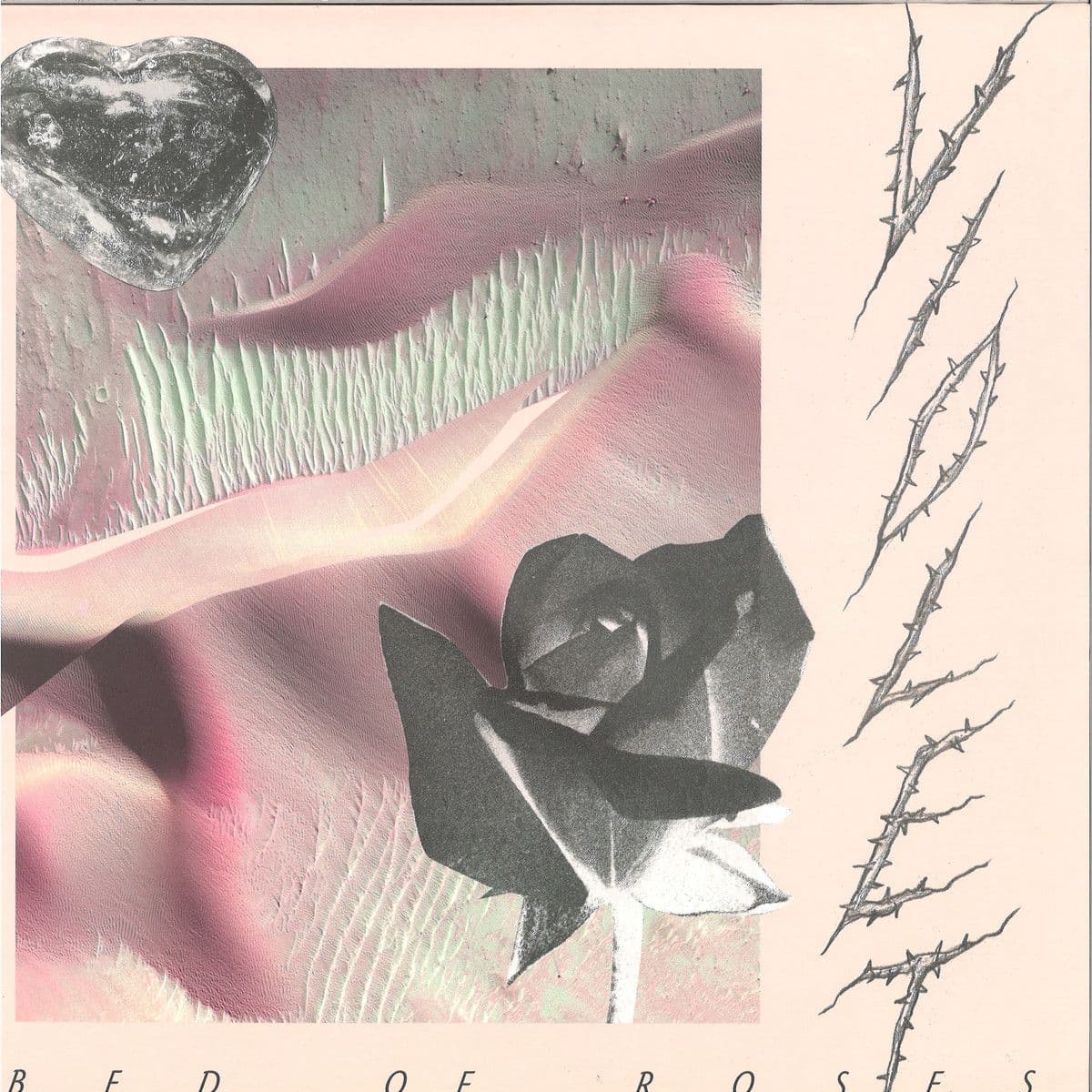Bed Of Roses