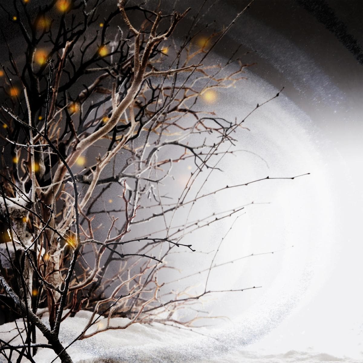 Winterlight LP