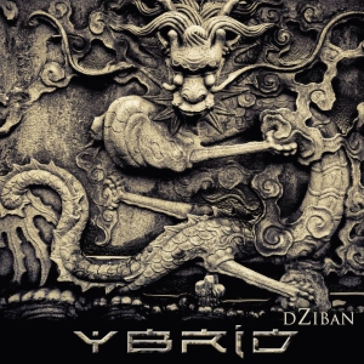 Dziban 2x12"