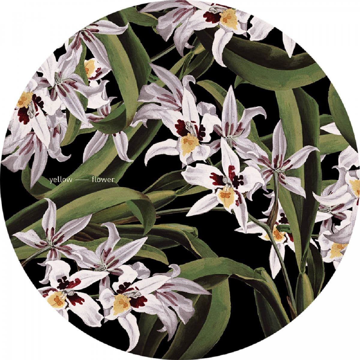 Slipmat 017