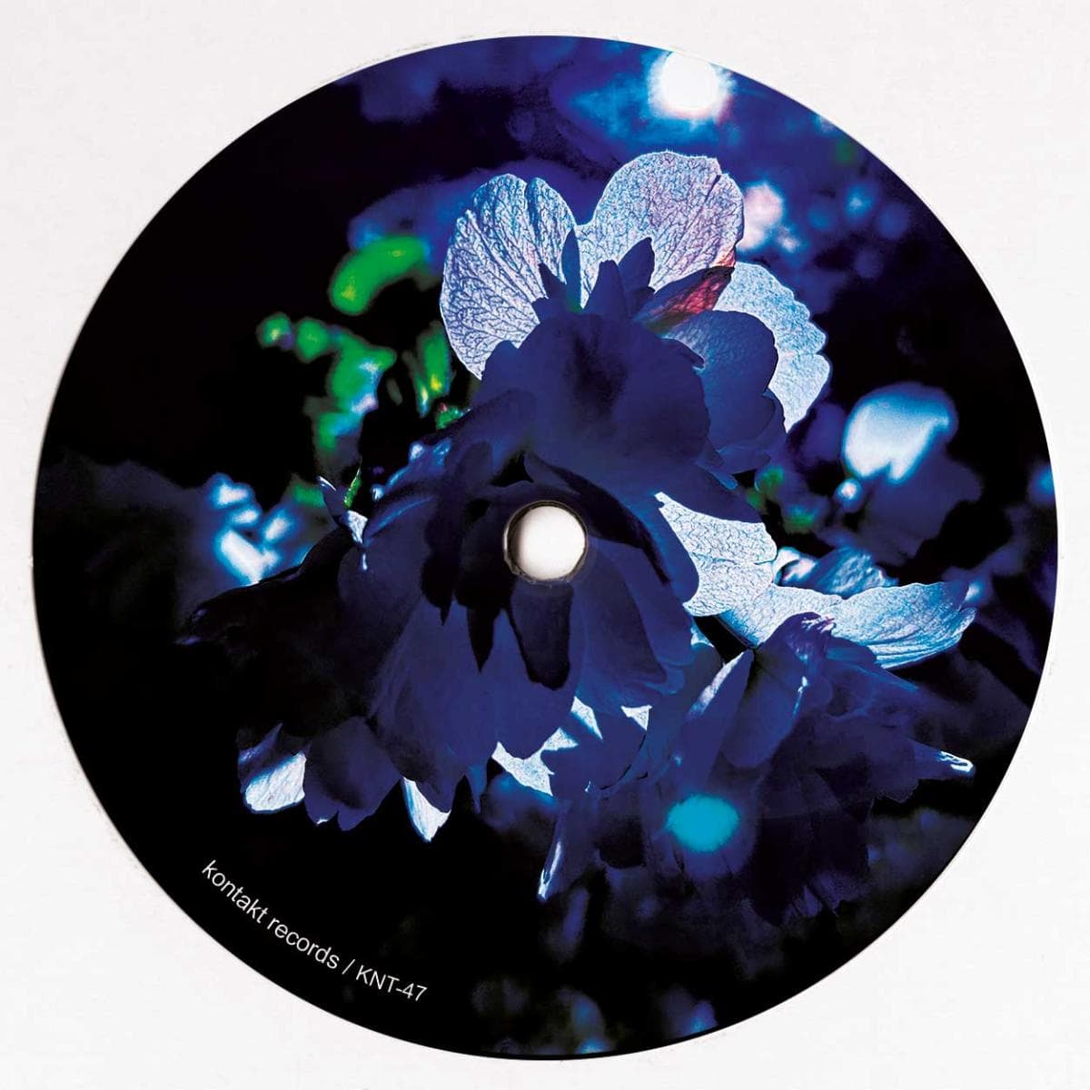 Chromatic Noise LP