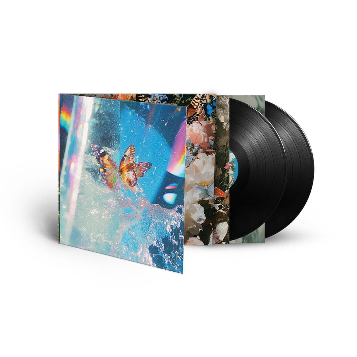 Butterfly LP 2x12"