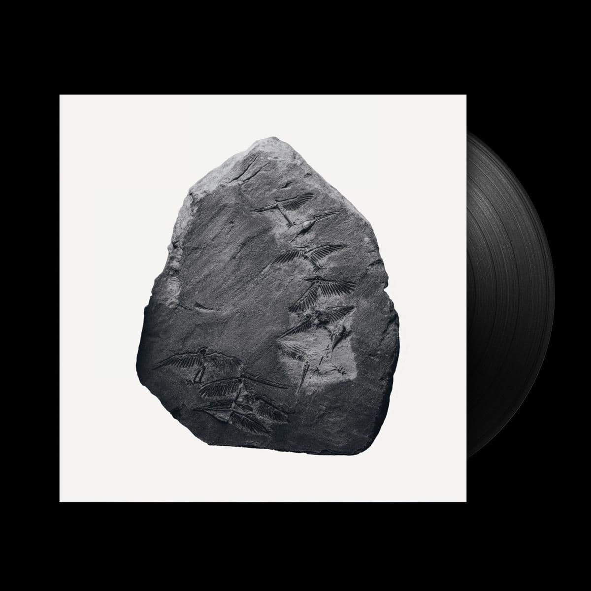 Remixes