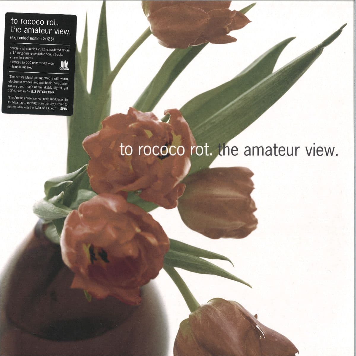 The Amateur View Expanded Ed. 2025) (LP 2x12")