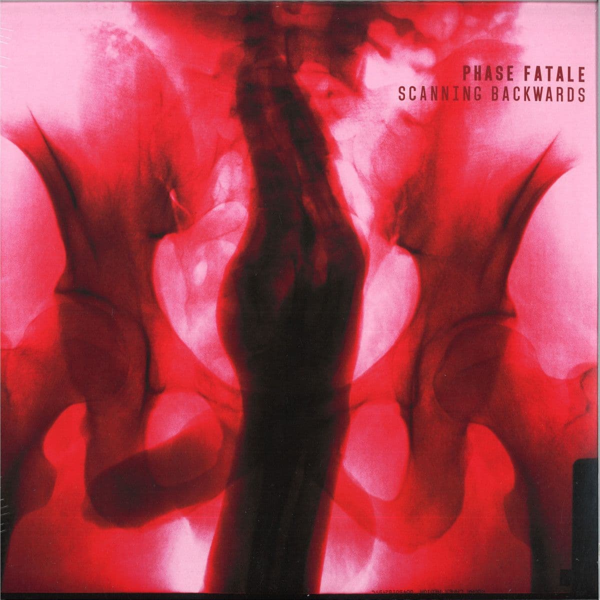 Scanning Backwards LP 2x12"