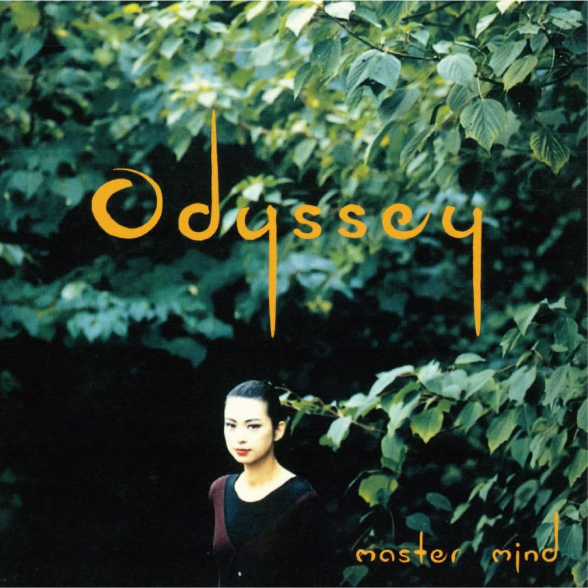 ODYSSEY (2x12")